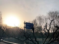 -元大都城垣遗址公园