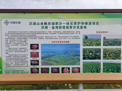 -洪湖生态旅游区