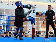 -大焱搏击·泰拳·拳击俱乐部(大柏树店)