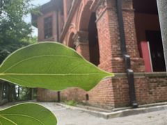 -浙江大学(之江校区)