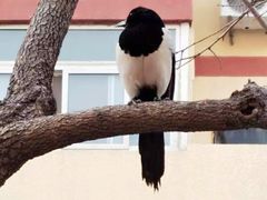 -七里庄(地铁站)