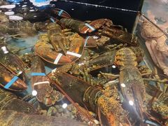 -龙宴海鲜城(经中路店)