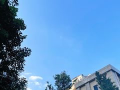 -棕榈MALL