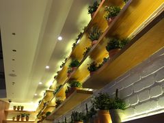 -翠華餐廳(浦东机场T1店)