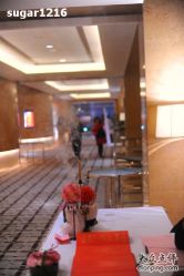 门口走廊-上海浦东喜来登由由大酒店·宴会厅