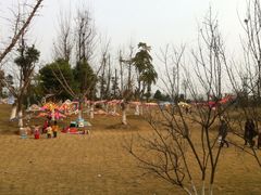 iphone_upload_pic-龙潭水乡