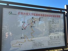 -北京鹫峰国家森林公园