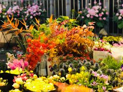 -双季花艺园艺市场(浦东店)