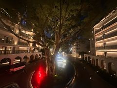 -海心沙亚运公园