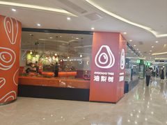 -油梨树 AVOCADO TREE(亮马桥店)