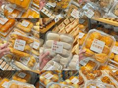 -洛阳郁金香牡丹园