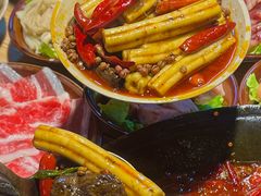 -阳阳老火锅(小南门店)