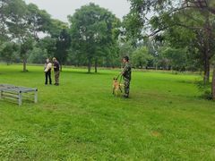 -北京京卫宠物寄养训练中心