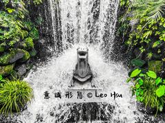 -深圳仙湖植物园