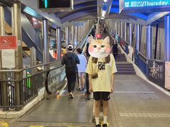 -中环半山扶手电梯