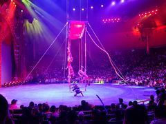 -珠海横琴长隆《卡卡虎奇遇记》