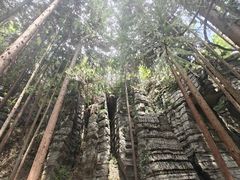 -梭布垭石林景区