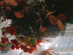 -筑艺咖啡