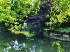 -上海醉白池公园