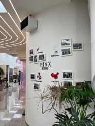 -MINX名珂斯·烫染形象设计