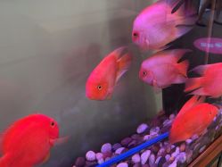 -长沙雅美医疗美容医院