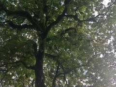 -国恩寺
