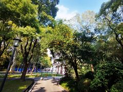 -中山公园
