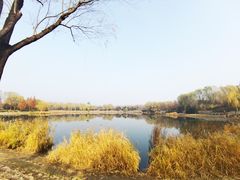 -北坞公园