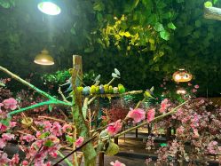 -酷嗒动物文化乐园(cutezoo西溪乐天城店)