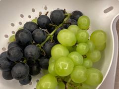 -海堤葡萄园中小学生研学基地