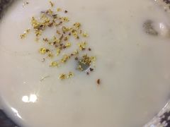 -鲜芋仙(宝地广场店)