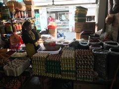 -鸿港海鲜批发市场