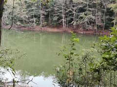 -青龙山国家森林公园