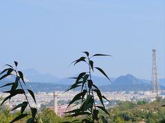 -白水寺森林公园