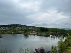 -铁山坪森林公园