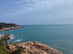 -广东惠东海龟国家级自然保护区