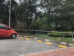 -大埔公路-马料水段香港中文大学(公交站)