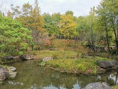 -尚贤河湿地