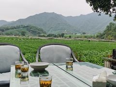 -龙坞茶村
