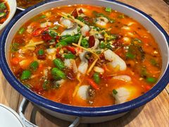 泡椒乌鱼片-钟师葱葱鲫鱼·江湖菜(梁家巷店)