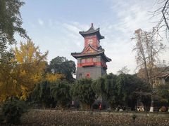 -四川大学(华西校区)