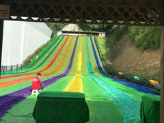 -梦幻奥陶纪景区