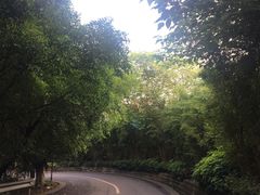 -张坝桂圆林公园