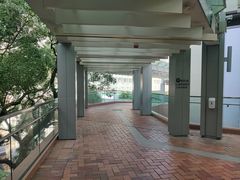 -香港大学