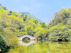 -黔灵山公园