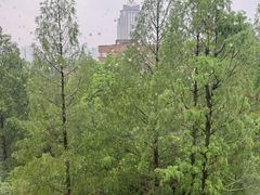 -南京西康宾馆