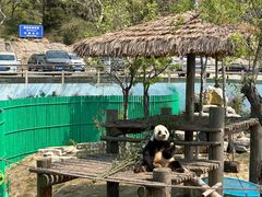 -西霞口神雕山野生动物世界