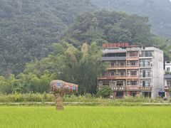 -靖西鹅泉风景区