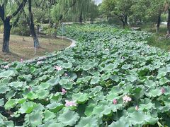 -阳澄湖半岛旅游度假区