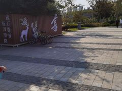 -昆山城市生态森林公园